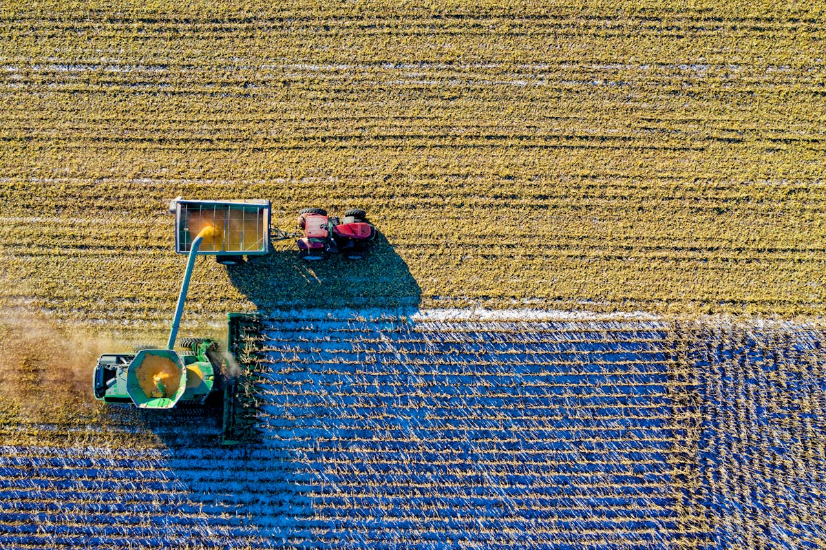 A farming field in Saudi Arabia, reflecting the country’s focus on food security through advanced agriculture and water management.