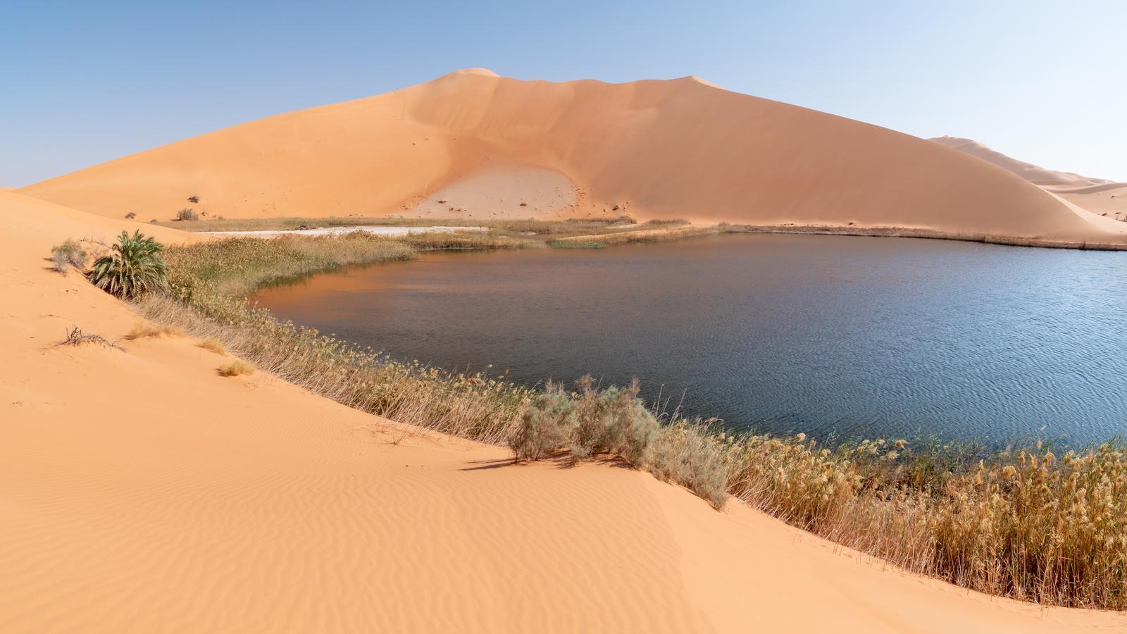 A tranquil oasis surrounded by sand dunes in the Empty Quarter desert under a clear sky.