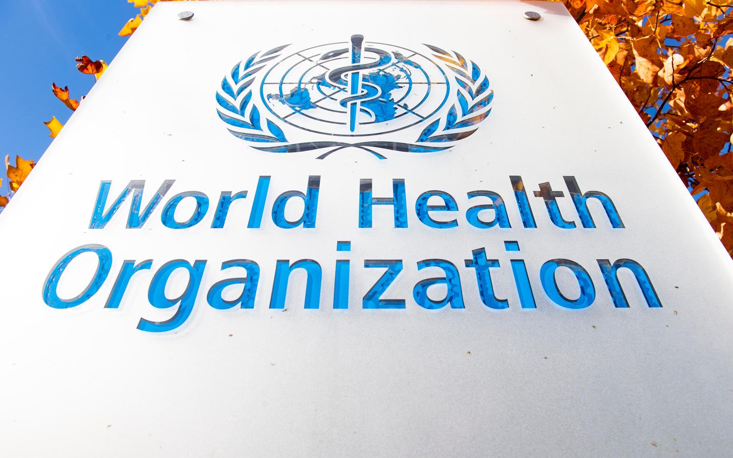 Dr Hanan Balkhy’s nomination to lead the World Health Organization is a notable achievement—but securing its top job will be a demanding contest.