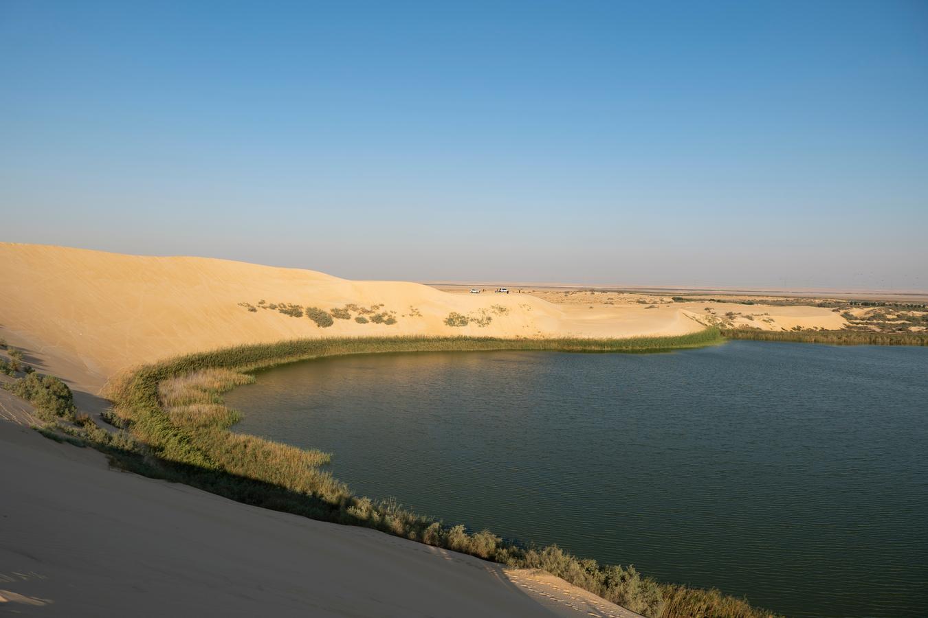 A wide view of Al-Asfar Lake (Yellow Lake) near Al-Ahsa in eastern Saudi Arabia, surrounded by desert terrain and sparse vegetation, showing the contrast between water and arid land.