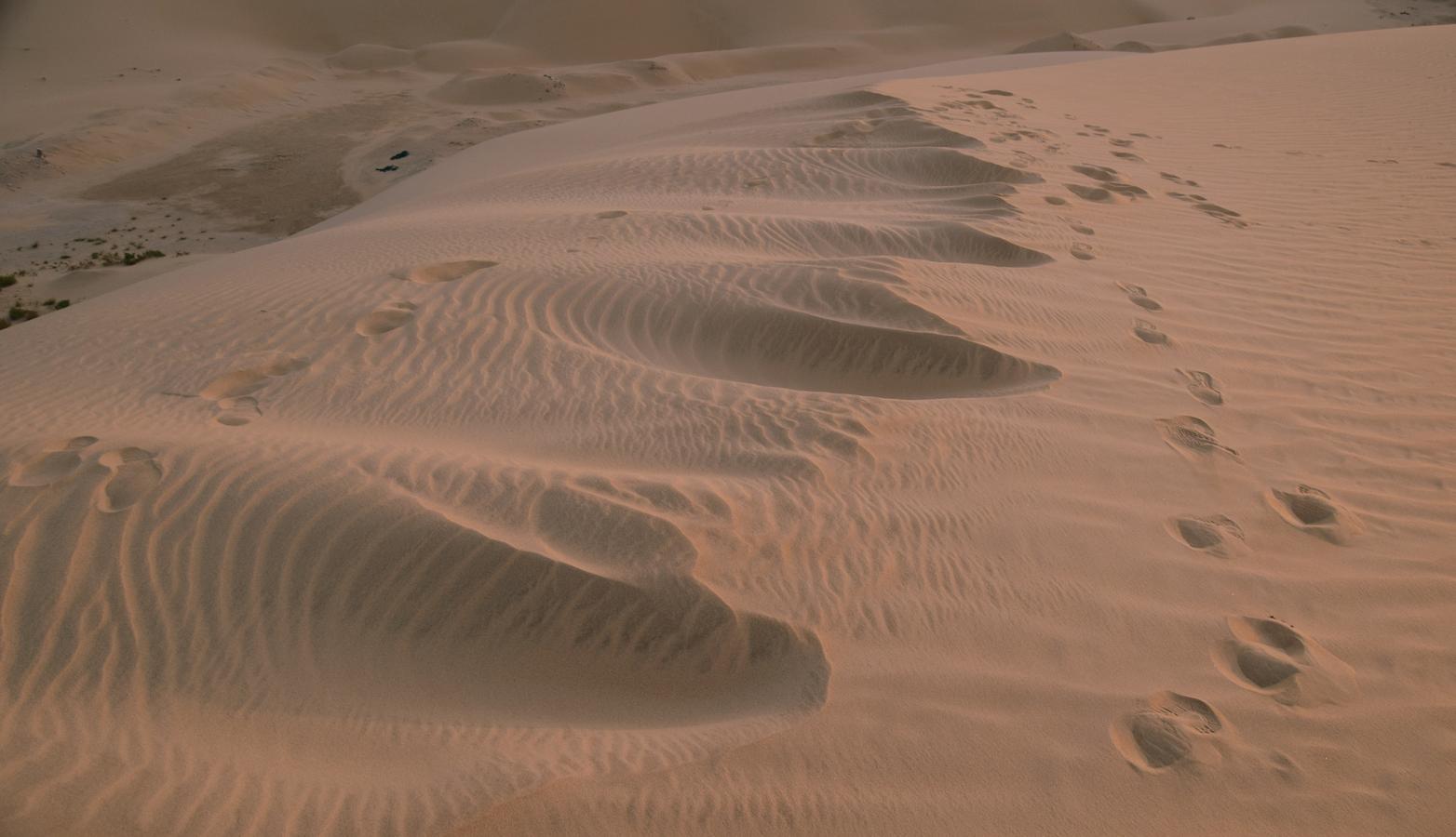 Footprints across a rippled sand dune at sunset, symbolizing the traditional desert navigation methods once used by Bedouin guides like Khamis Rimthan in pre-oil Saudi Arabia.